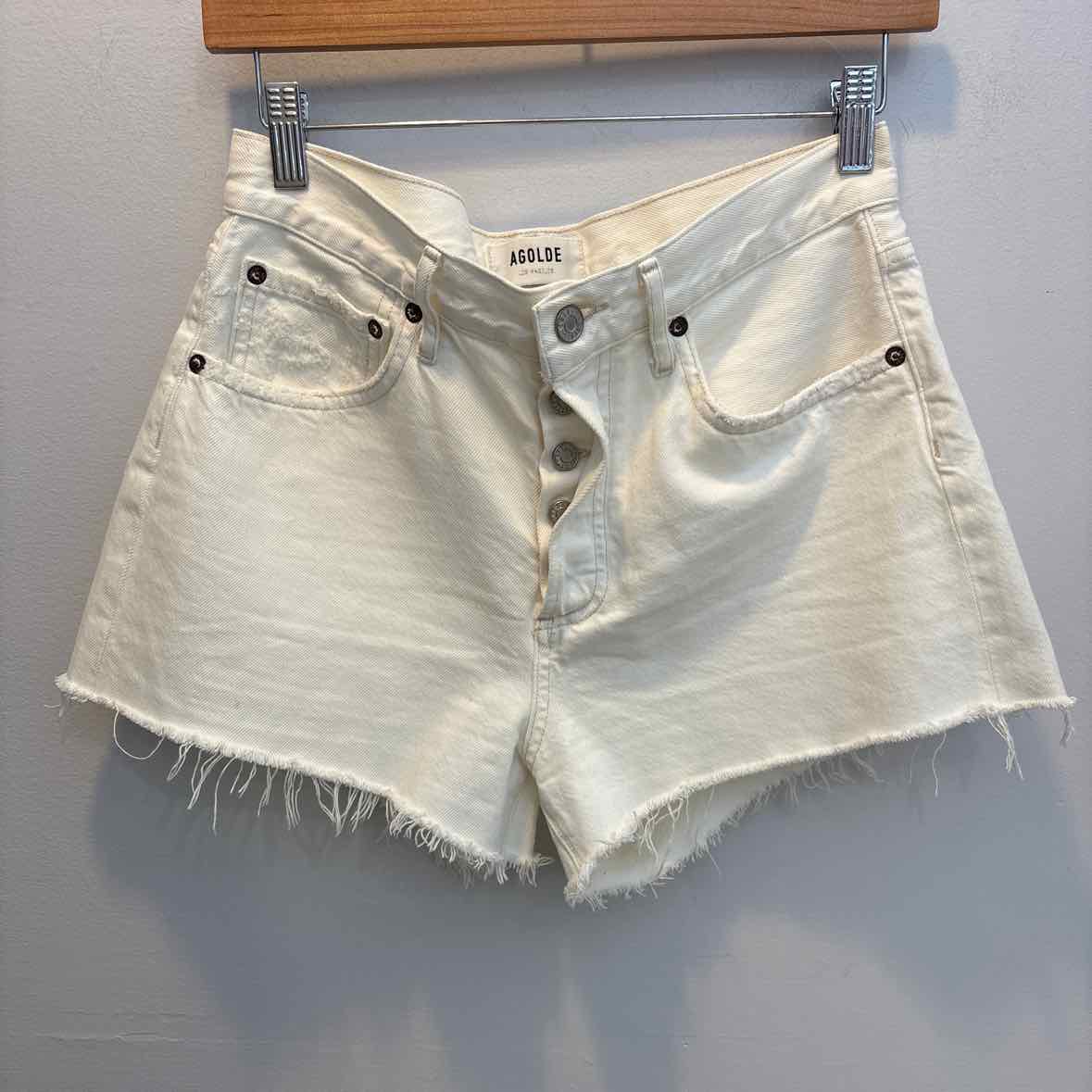 AGOLDE Size 26 Shorts