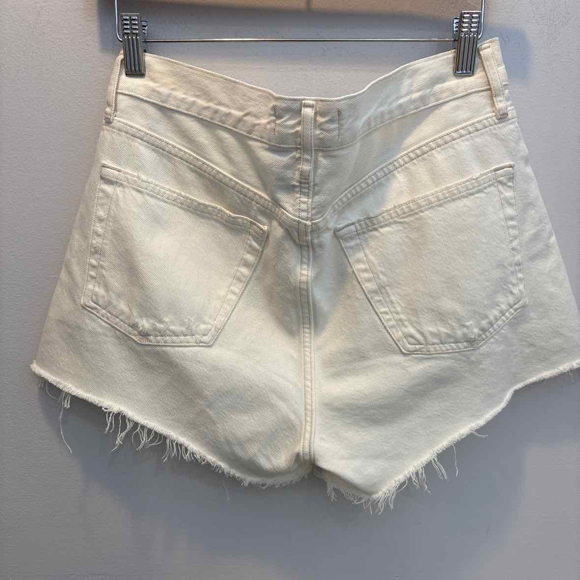 AGOLDE Size 26 Shorts