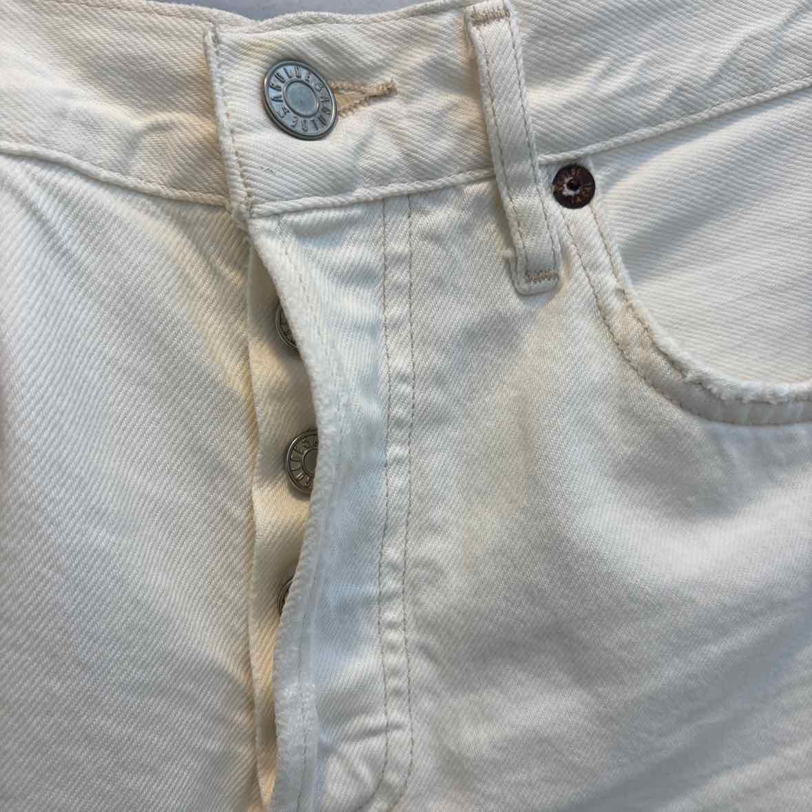 AGOLDE Size 26 Shorts