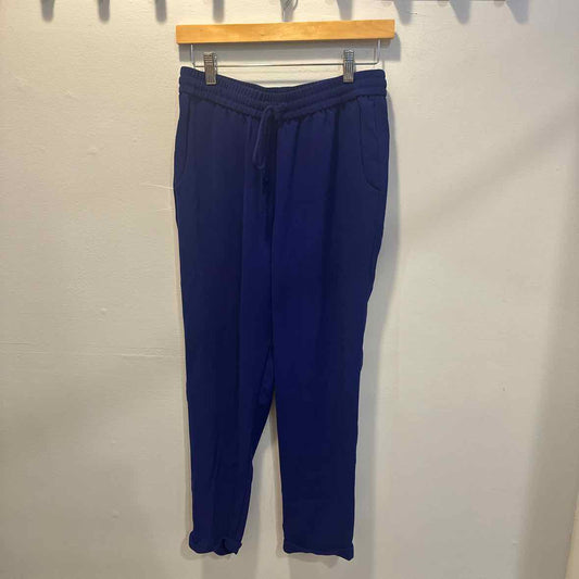 J Crew Size 4 Pants